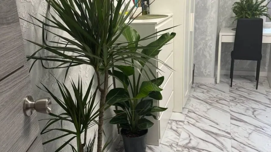 Apartment de 1 chambre à Mislata, Spain No. 1178 № 17