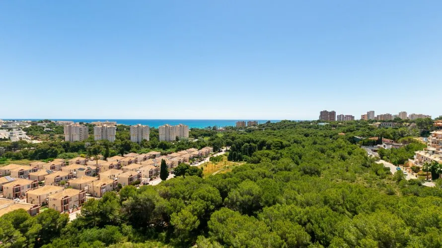 Apartment de 65m² à Dehesa De Campoamor, Spain No. 948 № 28