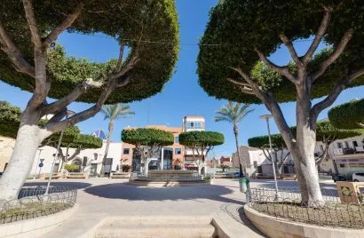 Apartment de 1 chambre à San Fulgencio, Spain No. 2908