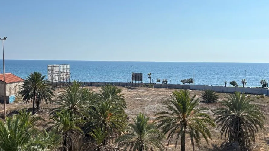 Apartment de 1 chambre à Torrevieja, Spain No. 238 № 8
