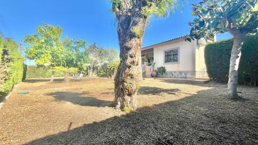 Villa de 3 chambres à Torrevieja, Spain No. 776 № 7