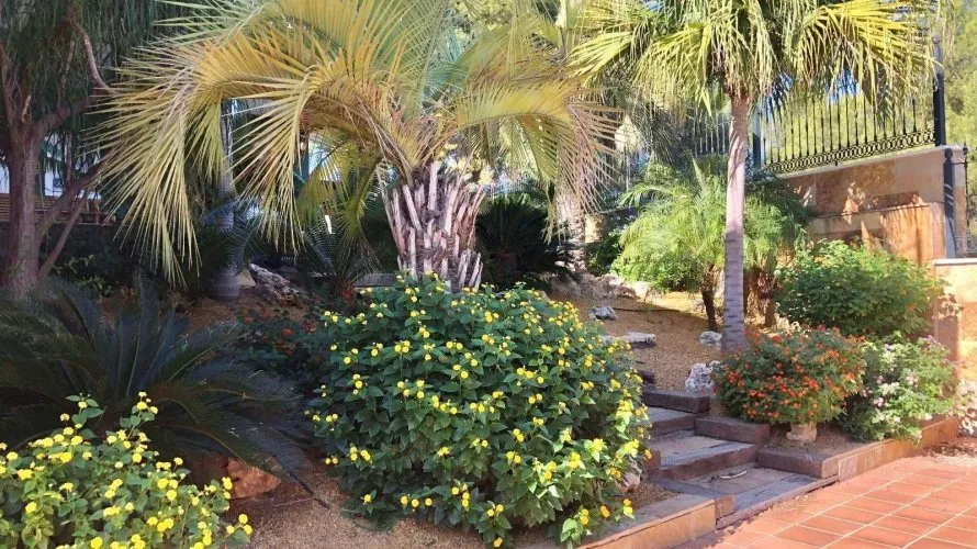 Villa de 6 chambres à El Palmar, Spain No. 1264 № 8