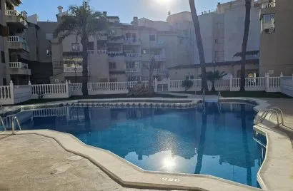 Apartment de 1 chambre à Torrevieja, Spain No. 2728