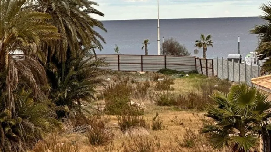Apartment de 3 chambres à Torrevieja, Spain No. 453 № 17