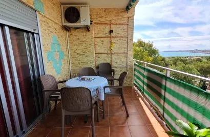 Apartment de 2 chambres à Torrevieja, Spain No. 1087