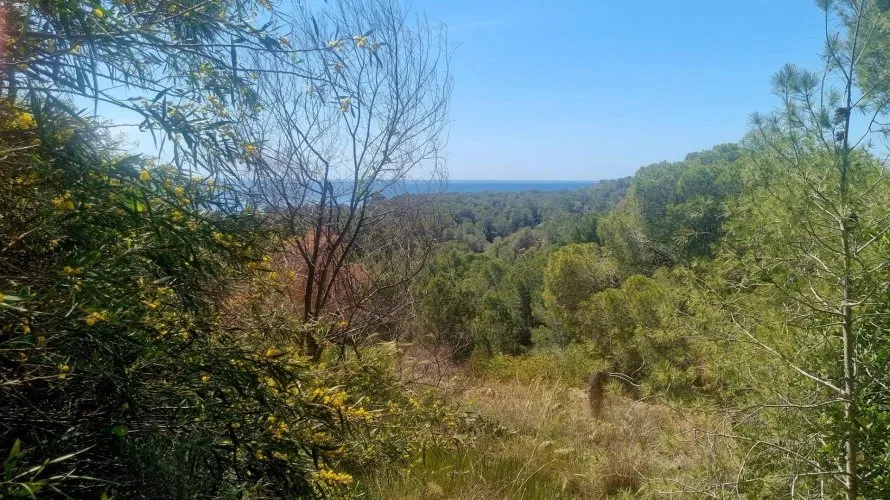 Land plot de à Galera de las Palmeras, Spain No. 730 № 4