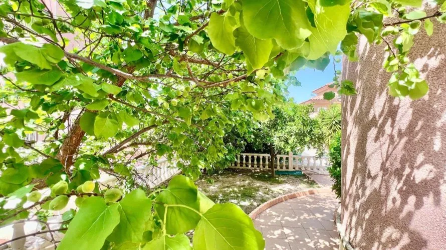 Villa de 3 chambres à Torrevieja, Spain No. 126 № 18