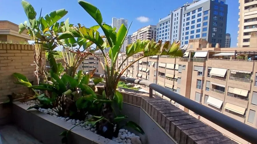 Penthouse de 3 chambres à Valencia, Spain No. 834 № 9