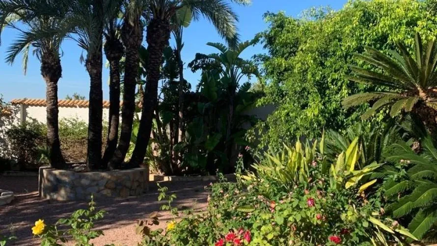 Villa de 236m² à Rojales, Spain No. 1358 № 7