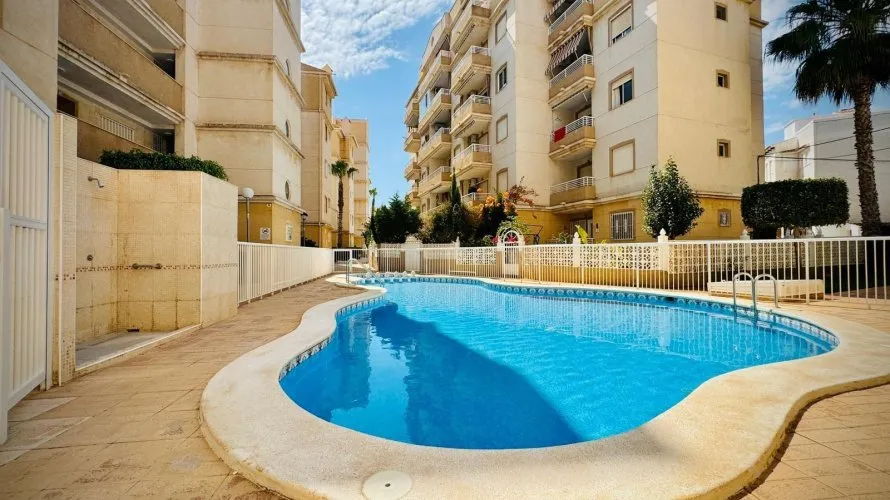 Apartment de 1 chambre à Torrevieja, Spain No. 2969 № 3