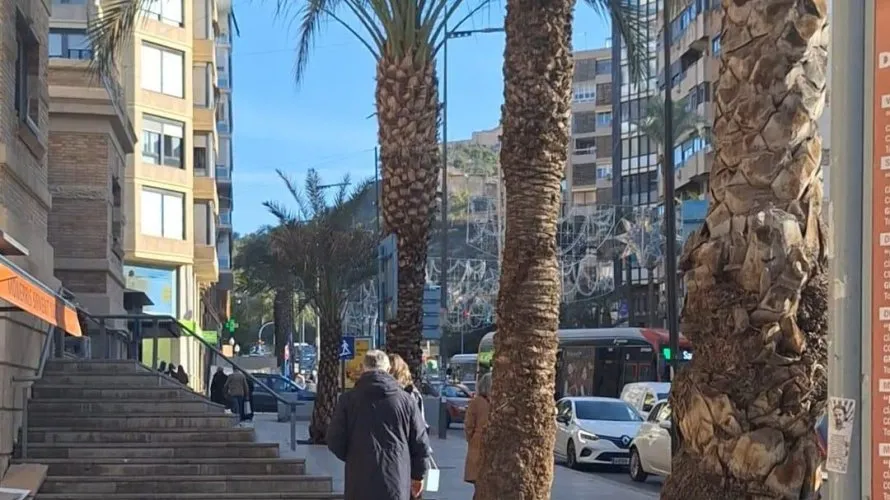 Commercial property de 19m² à Alicante, Spain No. 2821 № 6