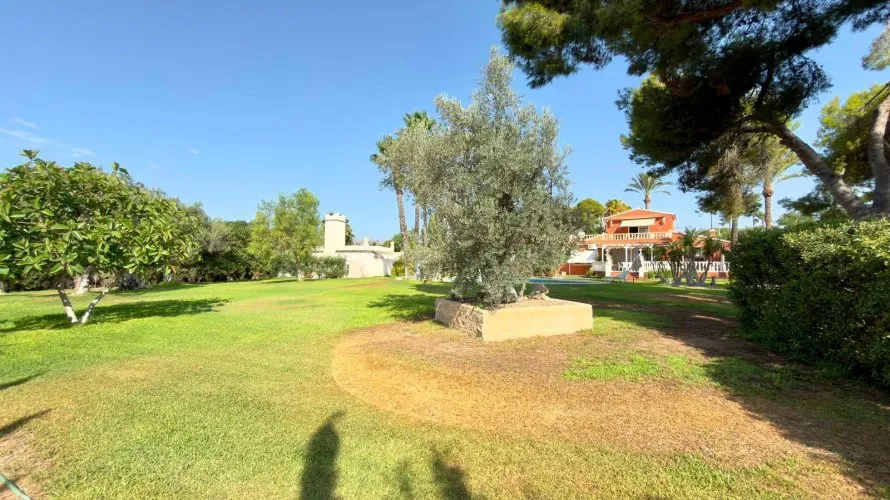 Villa de 5 chambres à Benidorm, Spain No. 3137 № 13