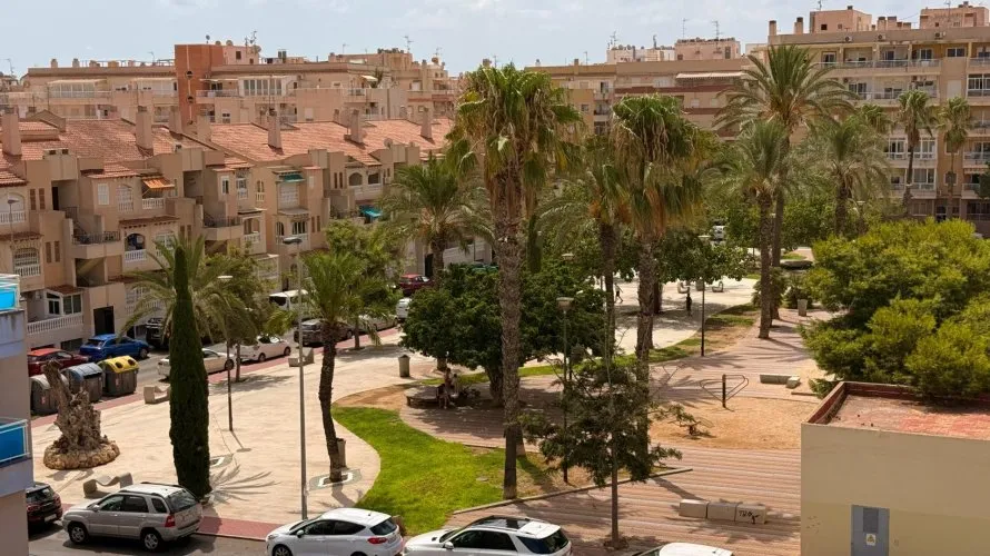 Apartment de 1 chambre à Torrevieja, Spain No. 3147 № 14