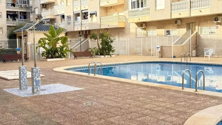 Apartment de 1 chambre à Torrevieja, Spain No. 3264 № 16