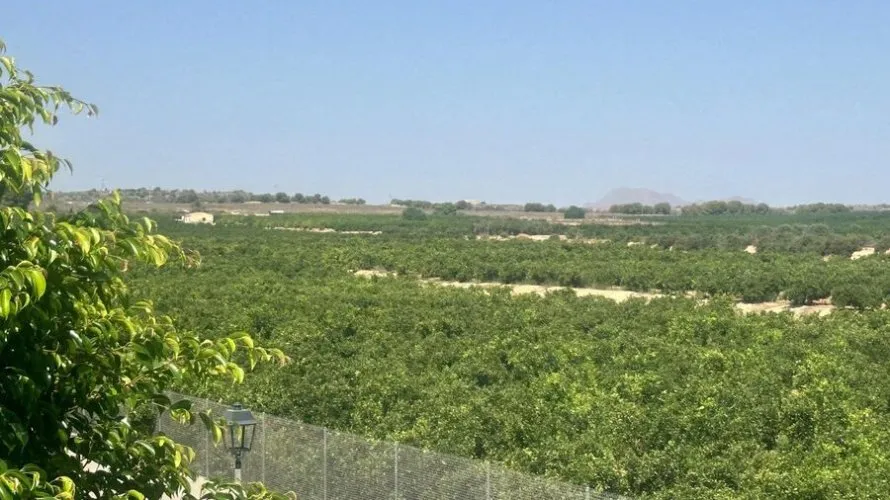 Villa de à Algorfa, Spain No. 3221 № 5