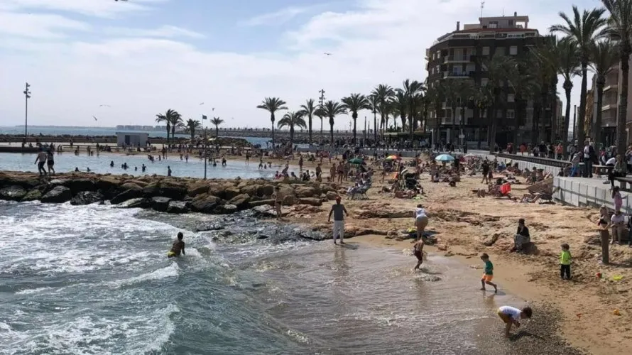 Apartment de 1 chambre à Torrevieja, Spain No. 3192 № 3