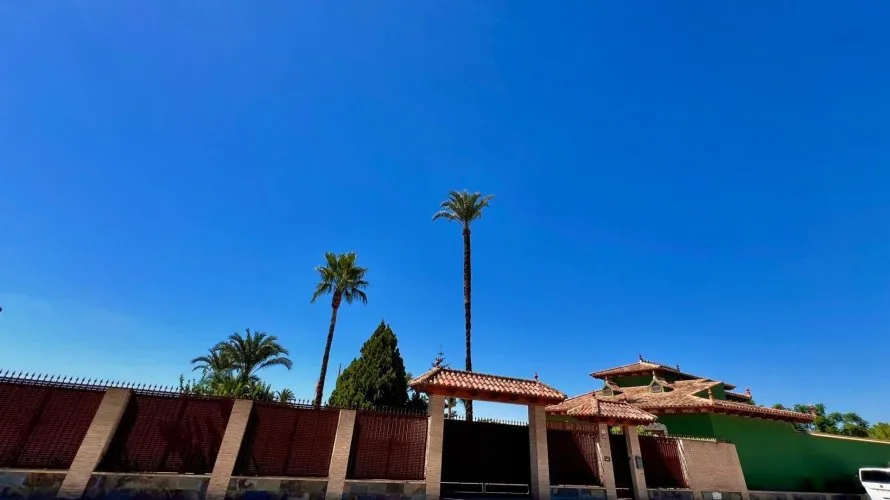 Villa de 4 chambres à Almoradi, Spain No. 3352 № 28