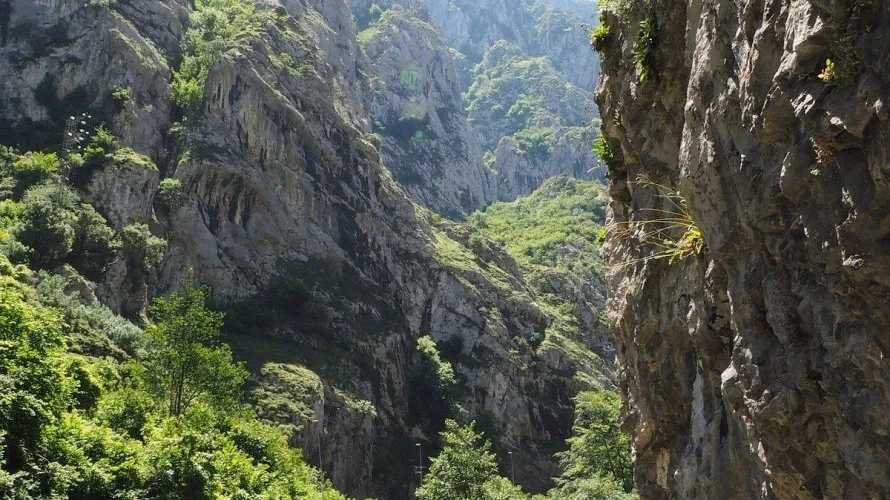 Вилла 135м² в Теверга, Испания №2869 № 4