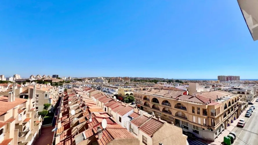 Пентхаус с 1 спальней в Торревьеха, Испания №2917 № 1