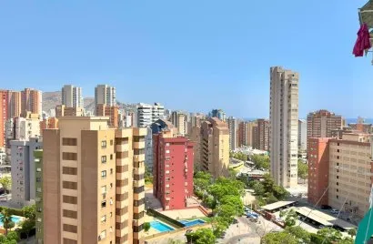 Квартира 51м² в Бенидорм, Испания №3078