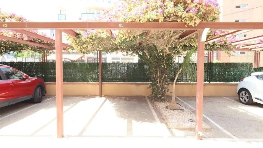 Квартира с 2 спальнями в Аликанте, Испания №3223 № 5