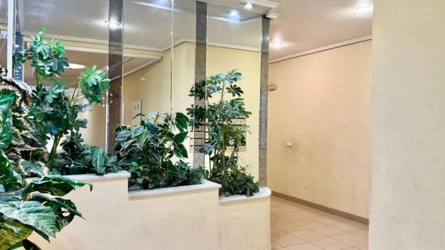 Квартира с 1 спальней в Торревьеха, Испания №3452 № 25