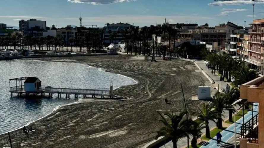 3 bedrooms apartment for sale, San Pedro del Pinatar, Spain No. 820 № 18