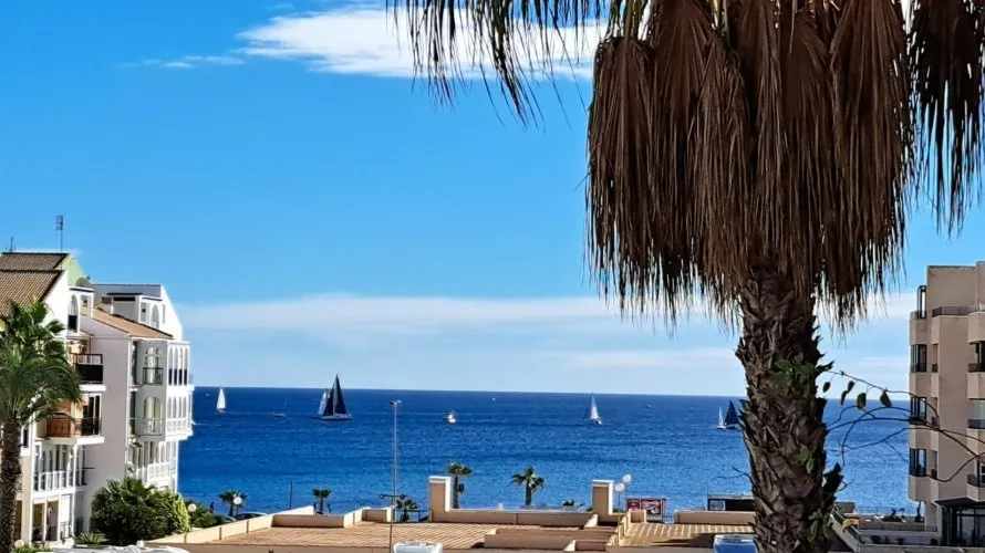 1 bedroom apartment for sale, La Veleta, Spain No. 2922