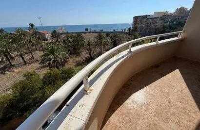 1 bedroom apartment for sale, Torrevieja, Spain No. 238