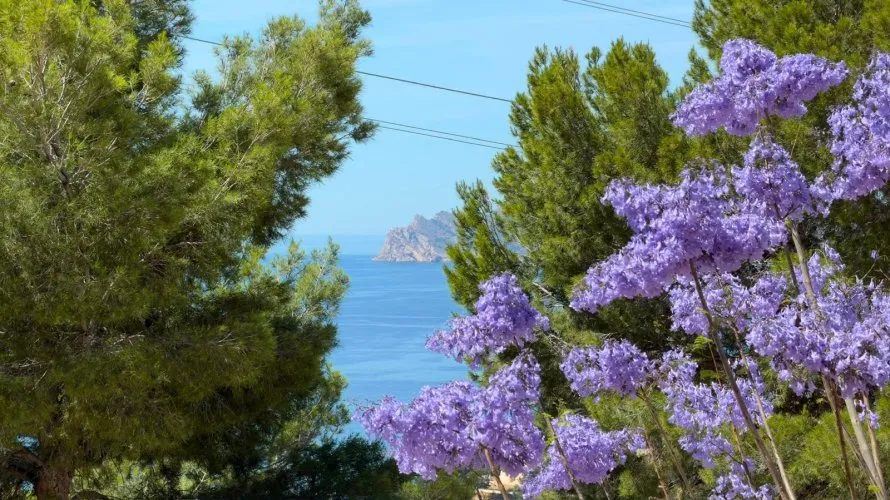 3 bedrooms apartment for sale, Zona Altea Hills, Spain No. 1185 № 5