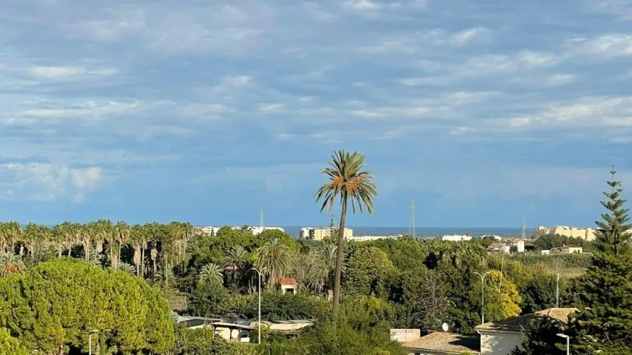 23 bedrooms commercial property for sale, Gandia, Spain No. 1371 № 6