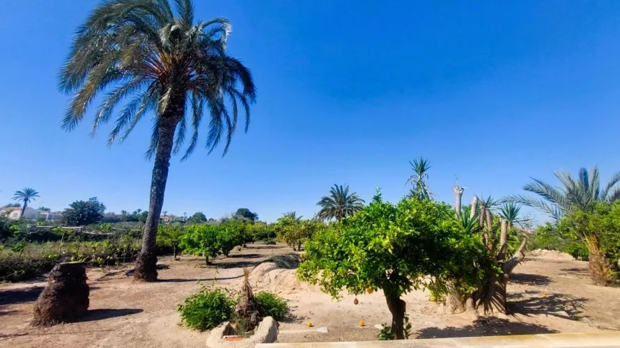 5 bedrooms house for sale, La Marina, Spain No. 1291 № 20