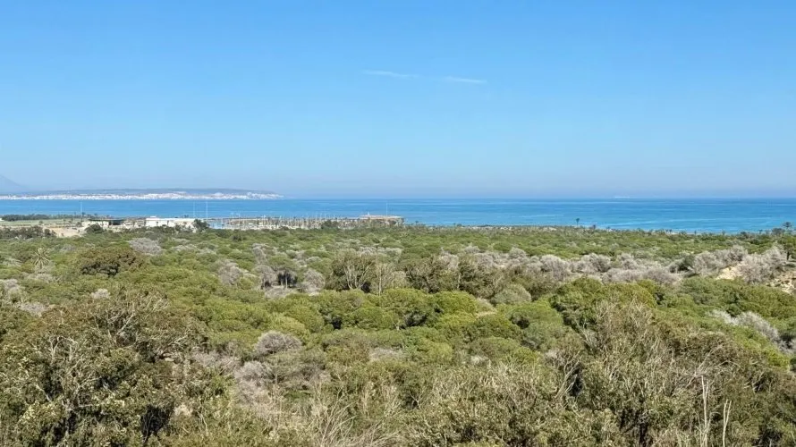 3 bedrooms apartment for sale, Guardamar del Segura, Spain No. 1062 № 5