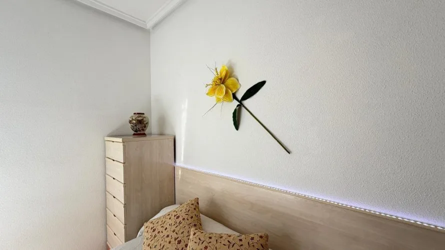 2 bedrooms penthouse for sale, Torrevieja, Spain No. 2700 № 11