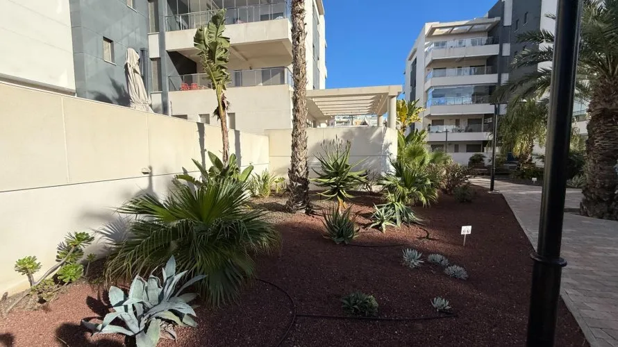 3 bedrooms apartment for sale, Los Dolses, Spain No. 1249 № 4