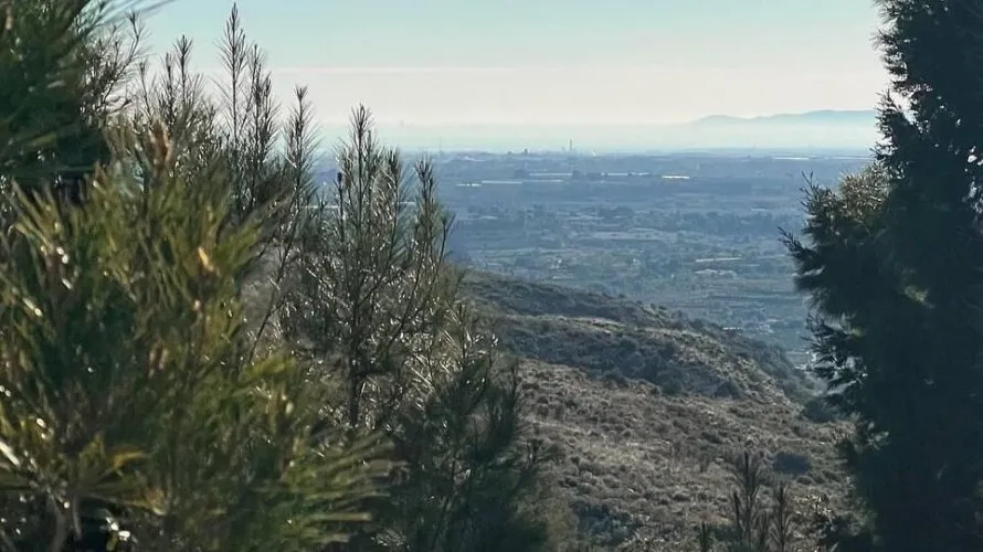 Land plot for sale, Torrent, Spain No. 2822 № 1