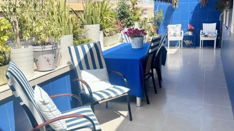 1 bedroom apartment for sale, Torrevieja, Spain No. 1603 № 13