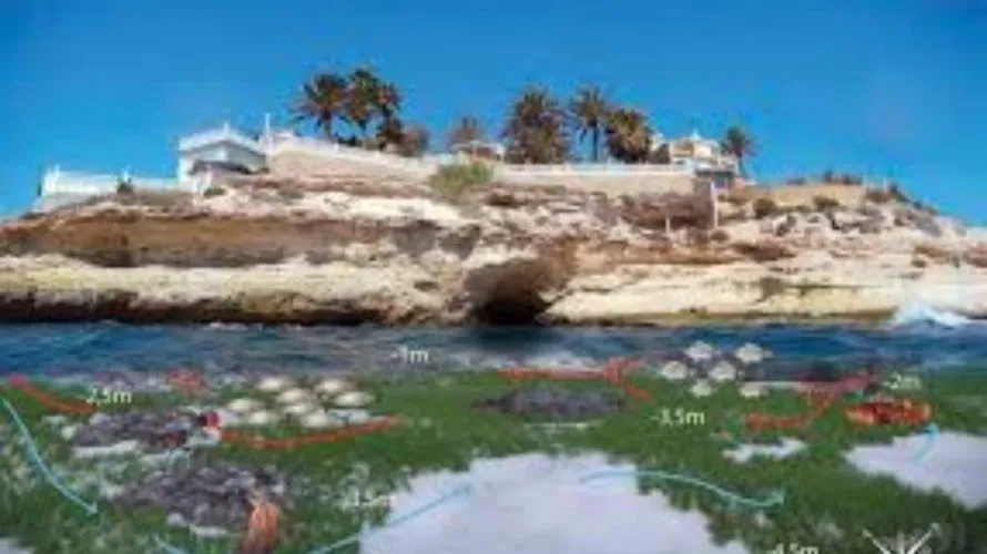 Land plot for sale, El Campello, Spain No. 2796 № 1