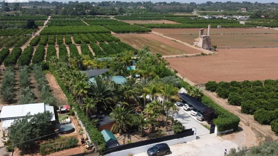 7 bedrooms apartment for sale, Betera, Spain No. 1293 № 26
