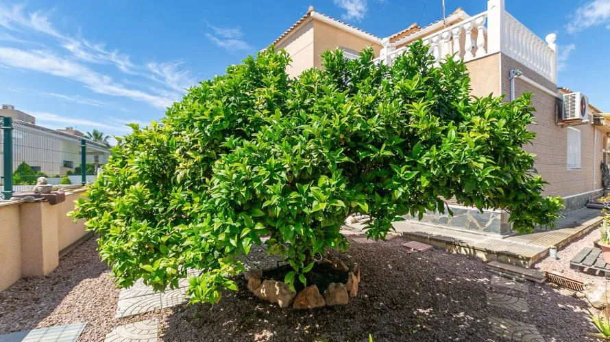 158m² villa for sale, Cabo Roig, Spain No. 914 № 19