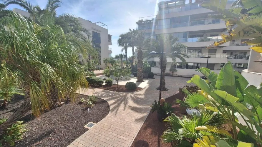 1 bedroom apartment for sale, Los Dolses, Spain No. 1060 № 13