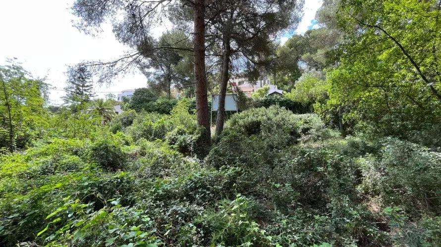 Land plot for sale, Cap Martin, Spain No. 268 № 6