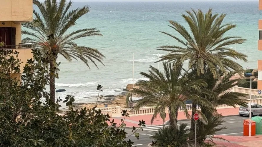 1 bedroom apartment for sale, Torrevieja, Spain No. 2843 № 7