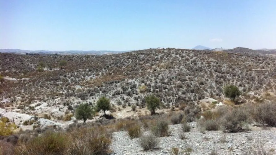 Land plot for sale, Lorca, Spain No. 2769 № 2