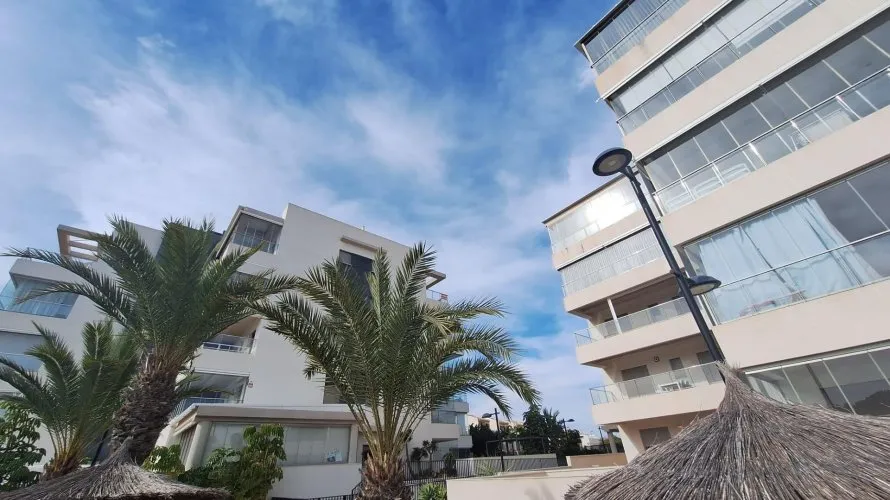 1 bedroom apartment for sale, Los Dolses, Spain No. 1060 № 11