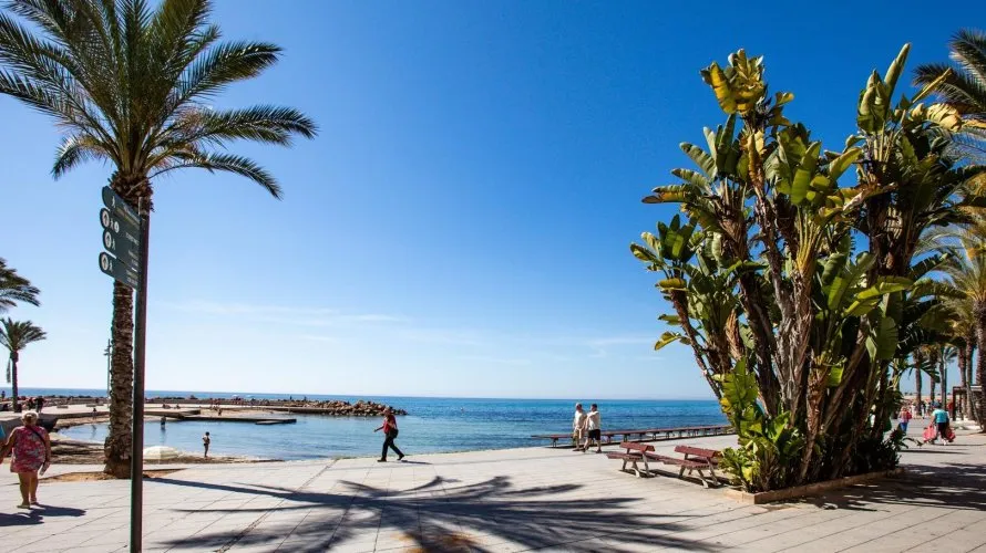 24m² apartment for sale, Torrevieja, Spain No. 3287 № 4