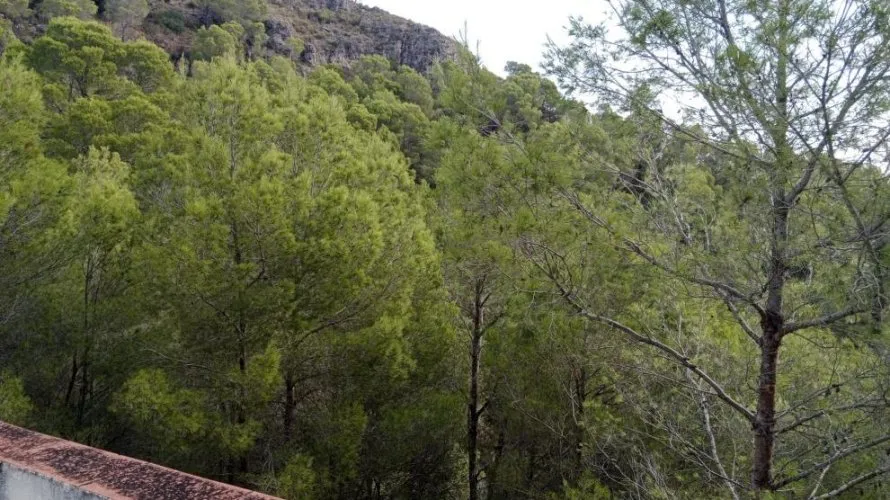 4 bedrooms apartment for sale, Almisera, Spain No. 3451 № 2